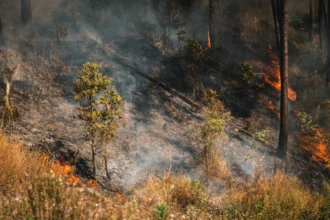 Σε ετοιμότητα η Πυροσβεστική λόγω πορτοκαλί συναγερμού εκδήλωσης φωτιάς σε πέντε περιφέρειες