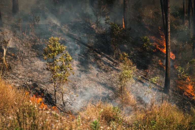 Σε ετοιμότητα η Πυροσβεστική λόγω πορτοκαλί συναγερμού εκδήλωσης φωτιάς σε πέντε περιφέρειες
