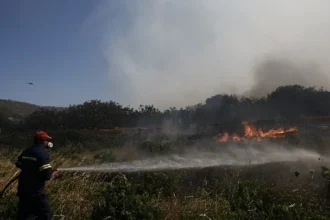 Σε ύφεση και χωρίς ενεργό μέτωπο η πυρκαγιά σε αγροτοδασική έκταση στην Πέτρα Βοιωτίας