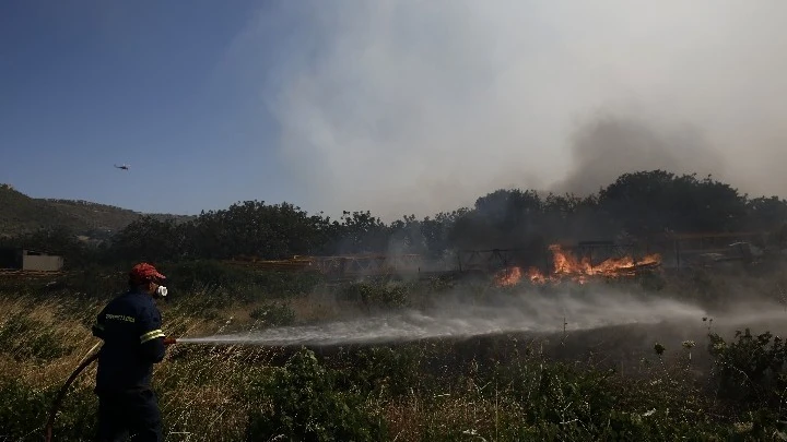 Σε ύφεση και χωρίς ενεργό μέτωπο η πυρκαγιά σε αγροτοδασική έκταση στην Πέτρα Βοιωτίας