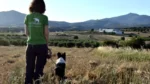 Σκύλοι ανιχνευτές δολωμάτων, ναρκωτικών και όπλων – Τα επόμενα βήματα στην εκπαίδευσή τους