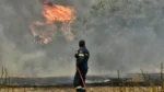 Συναγερμός στη Πολιτική Προστασία – Έρχονται δύσκολες μέρες με ισχυρούς ανέμους – Αυξάνεται ο κίνδυνος πυρκαγιών