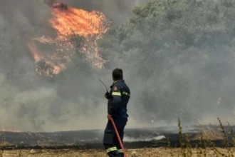 Συναγερμός στη Πολιτική Προστασία – Έρχονται δύσκολες μέρες με ισχυρούς ανέμους – Αυξάνεται ο κίνδυνος πυρκαγιών