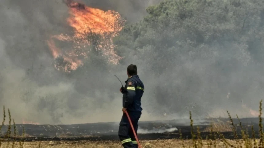 Συναγερμός στη Πολιτική Προστασία – Έρχονται δύσκολες μέρες με ισχυρούς ανέμους – Αυξάνεται ο κίνδυνος πυρκαγιών