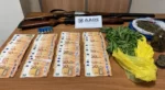 Συγγενείς και συνάδελφοι στις παράνομες επιδοτήσεις από τον ΟΠΕΚΕΠΕ σε Κοζάνη και Αγρίνιο: Δήλωναν εκτάσεις του Δημοσίου, πώς έκρυβαν τα ίχνη τους