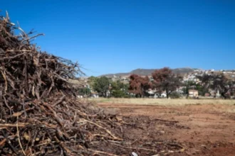 Τέλος χρόνου για τα ακαθάριστα οικόπεδα – Λήγει σήμερα η προθεσμία – Τι πρέπει να κάνουν οι ιδιοκτήτες