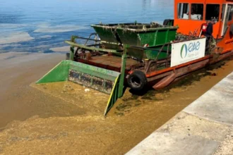 Θεσσαλονίκη: Η Αλκίππη στη μάχη του καθαρισμού του Θερμαϊκού από τo φυτοπλαγκτόν και τα σκουπίδια 