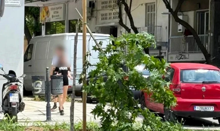 Θεσσαλονίκη: Καταστρέφονται ετησίως δεκάδες από τα νέα δέντρα που φυτεύτηκαν