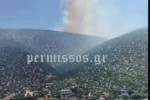 Βοιωτία: Μεγάλη κινητοποίηση της Πυροσβεστικής για φωτιά στον Άγιο Βασίλειο