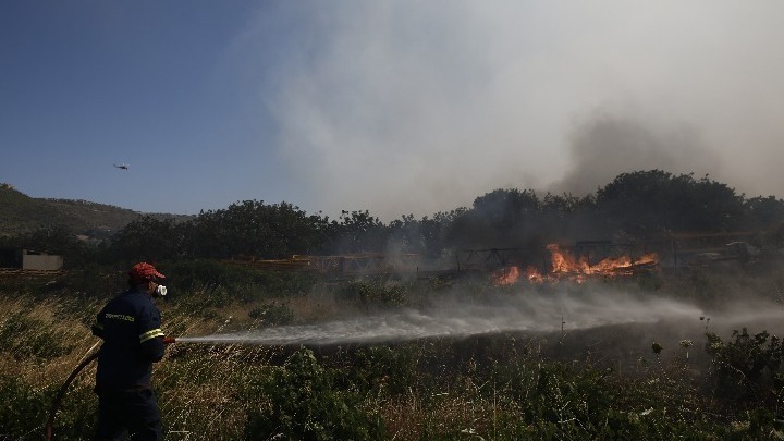 Σε ύφεση και χωρίς ενεργό μέτωπο η πυρκαγιά σε αγροτοδασική έκταση στην Πέτρα Βοιωτίας