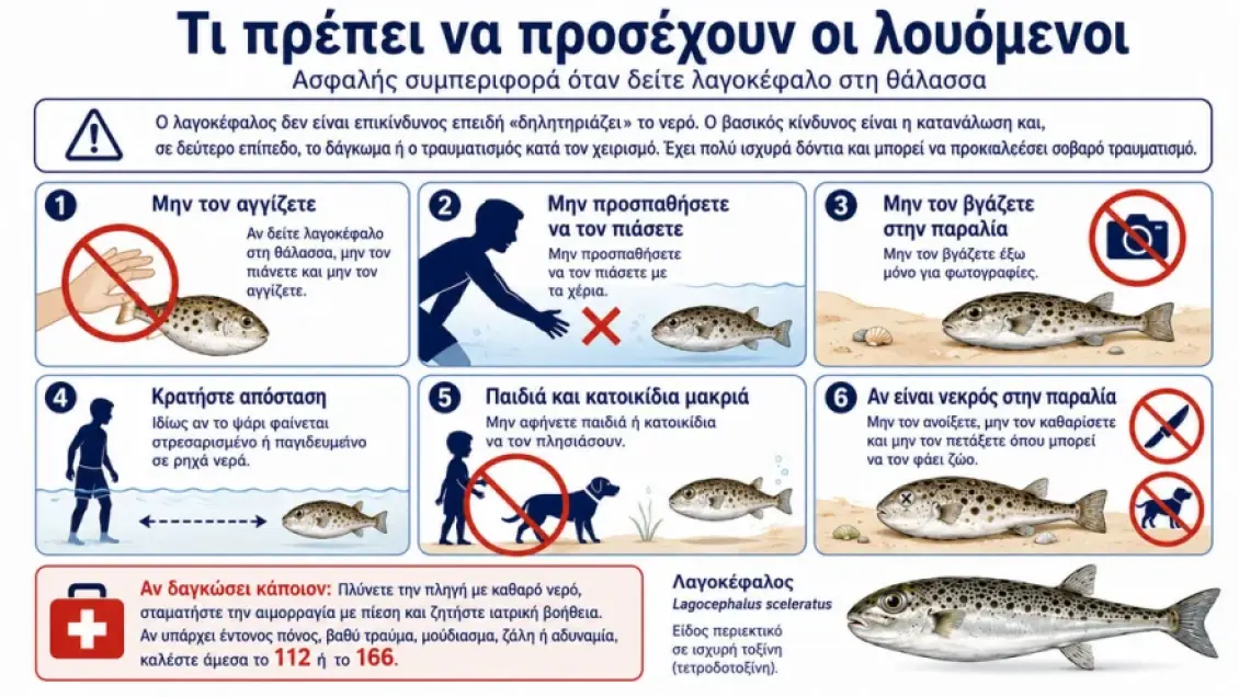 lagokefaloi-louomenoi