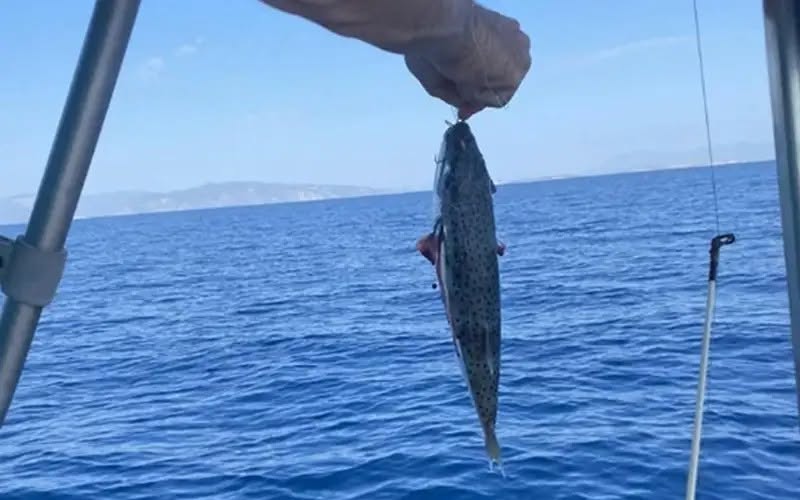 Δεν υπάρχει διαθέσιμη περιγραφή για τη φωτογραφία.