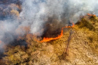 45 αγροτοδασικές πυρκαγιές μέσα σε ένα 24ωρο -Αυξημένη προσοχή στις περιοχές πολύ υψηλού κινδύνου