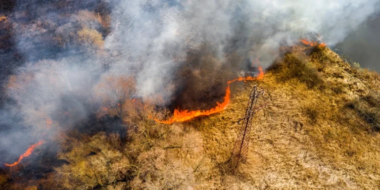 45 αγροτοδασικές πυρκαγιές μέσα σε ένα 24ωρο -Αυξημένη προσοχή στις περιοχές πολύ υψηλού κινδύνου