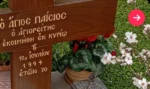 «Άγιος Παΐσιος: Από τα Φάρασα της Καππαδοκίας στην αγκαλιά των πιστών»
