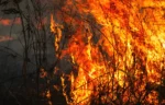 Αποκαλύψεις για τη «μαφία» των χωραφιών στη Μεσσηνία – Έκαιγαν τη γη αγροτών που δεν τους πλήρωναν – Τι εξετάζουν οι αρχές