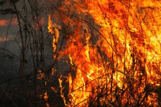 Αποκαλύψεις για τη «μαφία» των χωραφιών στη Μεσσηνία – Έκαιγαν τη γη αγροτών που δεν τους πλήρωναν – Τι εξετάζουν οι αρχές