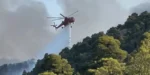 Χαλκιδική: Χωρίς κίνδυνο επέκτασης η φωτιά στον Νέο Μαρμαρά