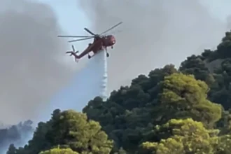 Χαλκιδική: Χωρίς κίνδυνο επέκτασης η φωτιά στον Νέο Μαρμαρά