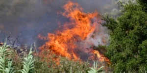 Χωρίς ενεργό μέτωπο η φωτιά στα Υψώματα Διαβατών