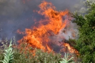 Χωρίς ενεργό μέτωπο η φωτιά στα Υψώματα Διαβατών