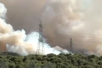 Δήμαρχος Μάνδρας: «Περιχαρακώσαμε τη φωτιά και δεν έχει καεί κάποιο σπίτι -Eκκενώσαμε προληπτικά 7 σπίτια»