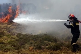 Πυρκαγιά σε χαμηλή βλάστηση στην Τραπεζίτσα Κοζάνης