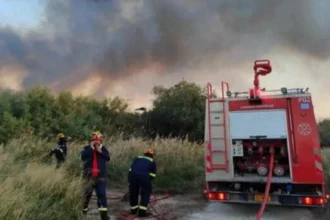 Πυρκαγιά σε δασική έκταση στα Οινόφυτα