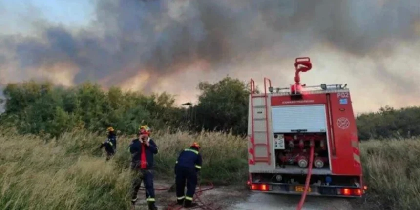 Πυρκαγιά σε δασική έκταση στα Οινόφυτα