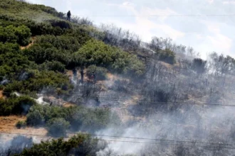 Θεσσαλονίκη: Καλύτερη η εικόνα από τη φωτιά στο Δερβένι – Παραμένουν ισχυρές δυνάμεις της Πυροεβστικής