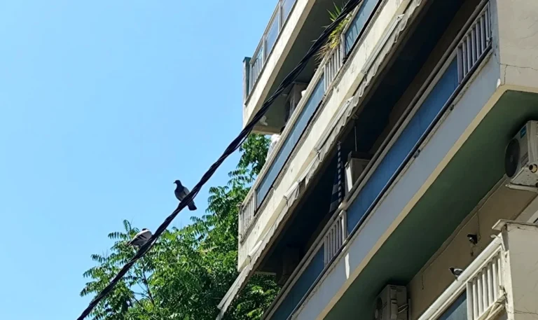 Θεσσαλονίκη: Νέα επιχείρηση της Αντιτρομοκρατικής σε οικοδομή μόλις 600 μέτρα από εκείνη της οικογένειας Νέστορα