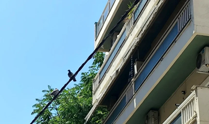 Θεσσαλονίκη: Νέα επιχείρηση της Αντιτρομοκρατικής σε οικοδομή μόλις 600 μέτρα από εκείνη της οικογένειας Νέστορα