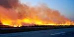Τουλάχιστον 40 αγροτοδασικές πυρκαγιές το τελευταίο εικοσιτετράωρο