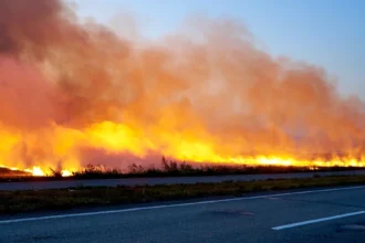 Τουλάχιστον 40 αγροτοδασικές πυρκαγιές το τελευταίο εικοσιτετράωρο